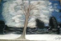 Snowy Tree - Pastel Colors Drawings - By Tonya Atkins, Nature Drawing Artist