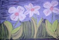 Pretty Flowers - Pastel Colors Drawings - By Tonya Atkins, Nature Drawing Artist