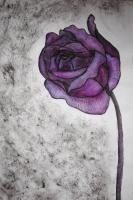 Rose 2 - Watercolor Pen Ink Paper Drawings - By Rebecca Herndon, Expressionism Drawing Artist