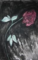 Rose 6 - Watercolor Pen Ink Paper Drawings - By Rebecca Herndon, Expressionism Drawing Artist
