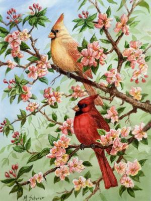 Wildlife - Cardinals In Spring - Watercolor