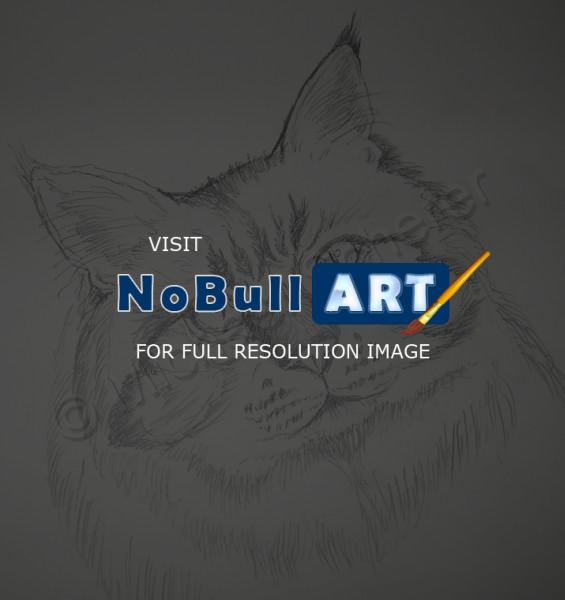 Pet Portrait - Persian Cat - Pencil