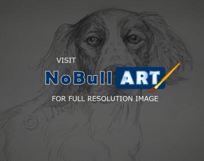 Pet Portrait - Charlie - Pencil