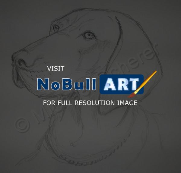 Pet Portrait - Sadie - Pencil