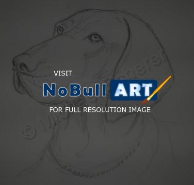 Pet Portrait - Sadie - Pencil