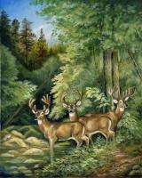 Wildlife - The Three Bachelors - Oil