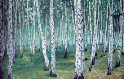 Oil Paintings - Birchwood - Oil On Hardboard