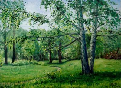 Oil Paintings - Birches In Summer - Oil On Canvas