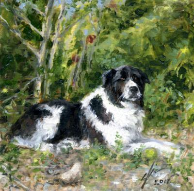 Dogs - Buddy - Oil