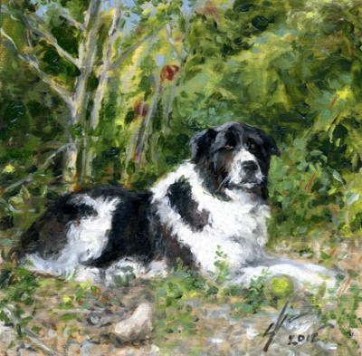 Dogs - Buddy - Oil