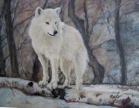 White Wolf - Oil Paintings - By Sharin Barber, Realism Painting Artist