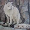 White Wolf - Oil Paintings - By Sharin Barber, Realism Painting Artist