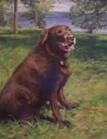 Dogs - Wilbur At The Cottage - Oil