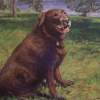 Wilbur At The Cottage - Oil Paintings - By Sharin Barber, Realism Painting Artist