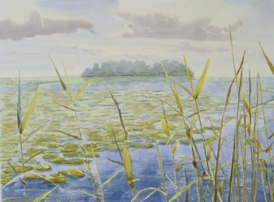 Watercolor Paintings - Summer Lake 17 - Watercolor