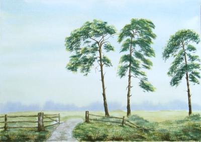 Watercolor Paintings - Three Pine Trees Landscape - Watercolor