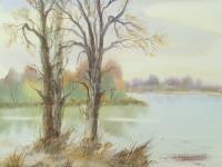 Watercolor Paintings - Old Trees Near The River - Watercolor