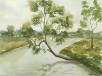 Watercolor Paintings - Tree Over The River - Watercolor