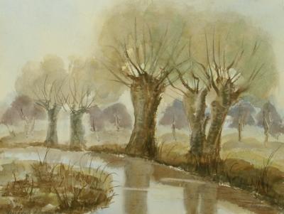 Watercolor Paintings - Old Trees At The Riverside - Watercolor