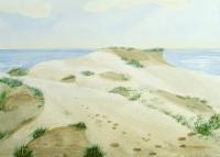 Watercolor Paintings - Seashore Coastline With Dunes - Watercolor