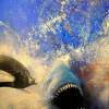 Orca Vs Gt White - Acrylicenam Paintings - By Ian Robertson, Iksr Painting Artist