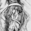 Aristo Esteem - Pencil Drawings - By Debber Fruehling, Mystyle Drawing Artist