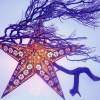 Star And Branch In Purple - Digital Photography - By Stephanie Hensley, Shapes And Nature Photography Artist