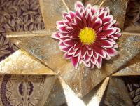 Gold Star Ball And Flower - Digital Photography - By Stephanie Hensley, Shapes And Nature Photography Artist