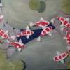 Koi Pond - Oil On Canvas Paintings - By Leslie Dannenberg, Realism Painting Artist