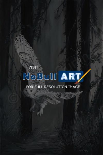 Wildlife Art - Ghost In Torrit Woods - Oil