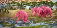 A Splash Of Pink - Oil Paintings - By Laura Curtin, Wildlife Art Painting Artist