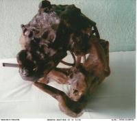 Sculptures - Health Is Wealth - Wood