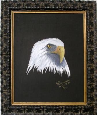 Wildlife - Freedom Bird - Oils