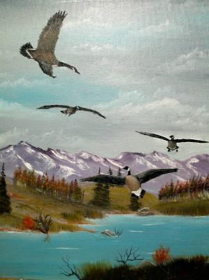 Wildlife - Canada Air Show - Oils