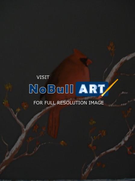 Wildlife - Cardinal 1 - Oils