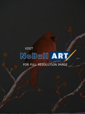 Wildlife - Cardinal 1 - Oils
