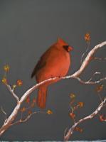 Wildlife - Cardinal 1 - Oils