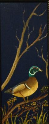 Wildlife - Wood Duck - Oils