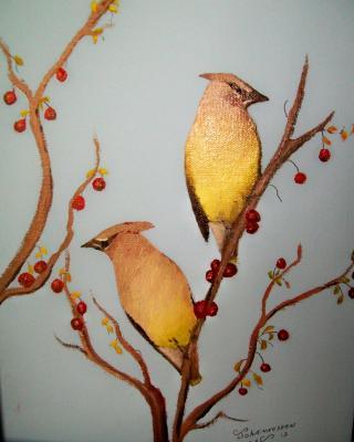 Wildlife - Waxwings And Berries - Oils