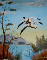 Wildlife - Common Shelducks - Oils