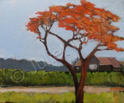 Landscape - The Flame Tree - Acrylic