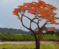 Landscape - The Flame Tree - Acrylic