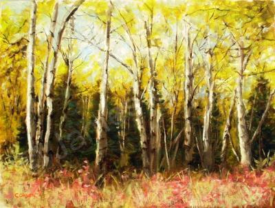 Current Work - Alaskan Birch - Oil