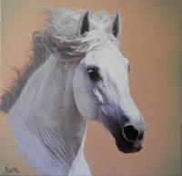 Horses - Equine Study - Oil On Canvas