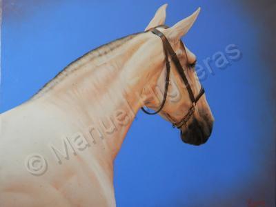 Horses - Blue - Oil On Canvas