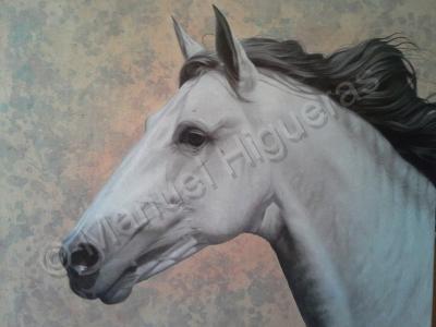 Horses - Horse Portrait 1 - Oil On Canvas