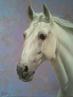 Horse Portrait 3 - Oil On Canvas Paintings - By Manuel Higueras, Hyperrealism Painting Artist