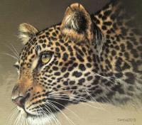 Nature Wonder - Oil On Canvas Paintings - By Simba   Robert Makoni, Oils Painting Artist