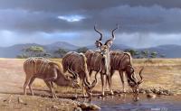 The Kudus - Oil On Canvas Paintings - By Simba   Robert Makoni, Oils Painting Artist