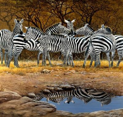 Wildlife And Nature Art - Zebra Family - Oil On Canvas